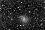 NGC6946-220804-vorchau.jpg (22055 Byte)